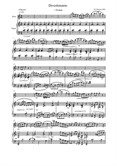 Divertimento for Flute & Piano